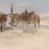 Ezeltjes op het strand