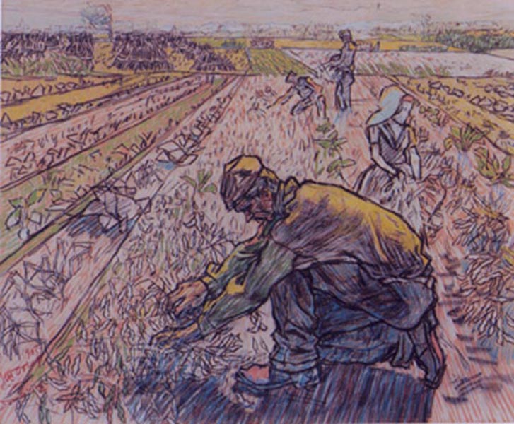 Picking beans in the morning, Domburg