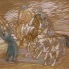  Circus met paarden