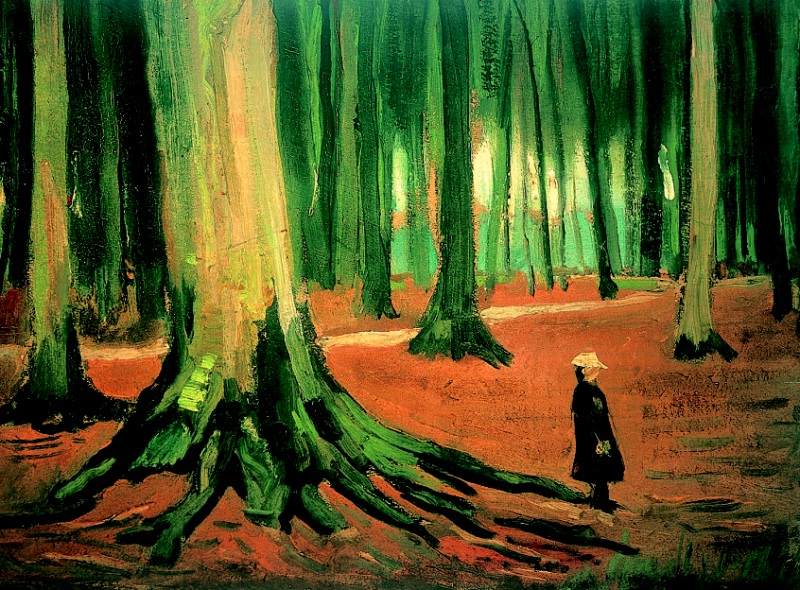 Meisje in het Haagse Bos