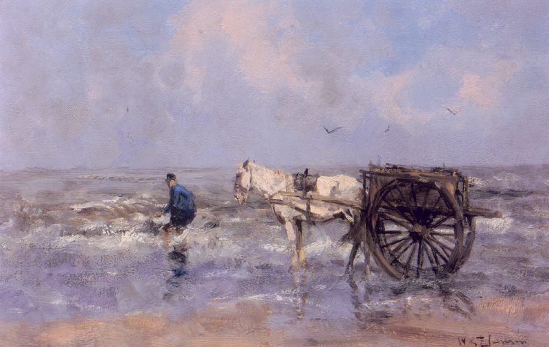 Schelpenvisser op het strand