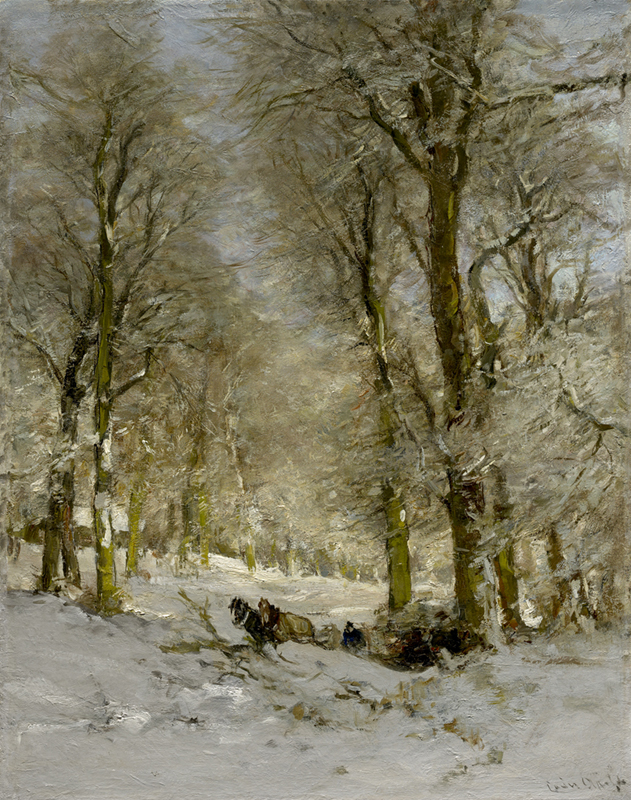 Winter in het Haagse Bos