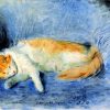 Chat Endormi
