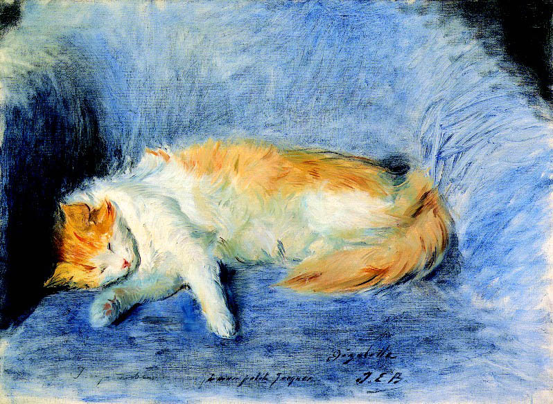 Chat Endormi