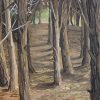Bosque magnetico