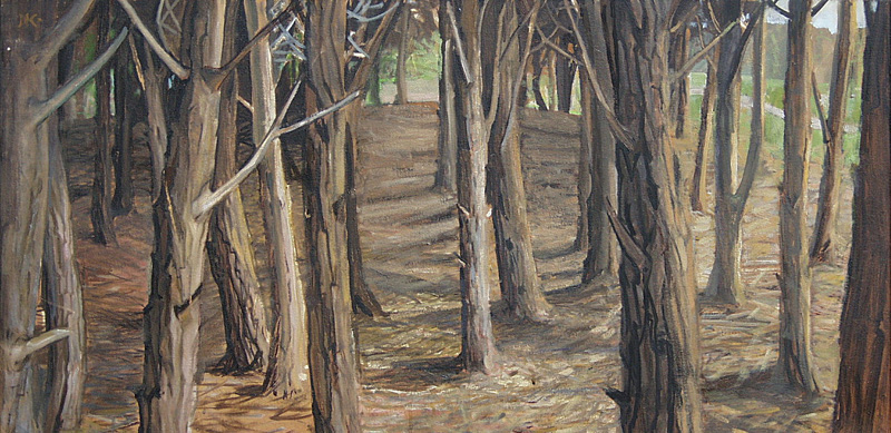 Bosque magnetico