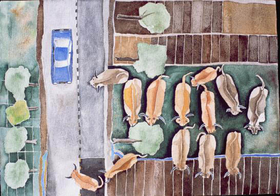Loose on the highway, 2003