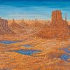 The Colorado Desert, after rain