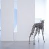Greyhound
