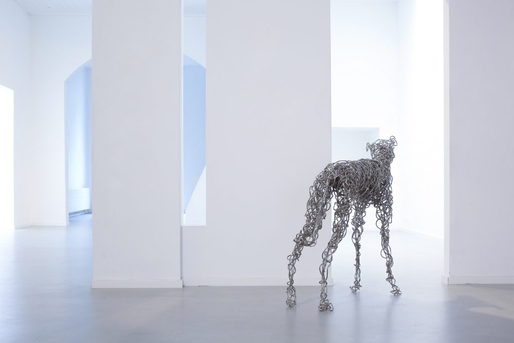 Greyhound