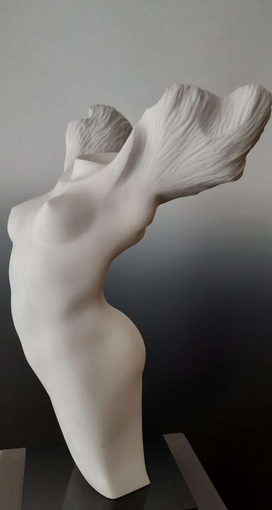 Angelo