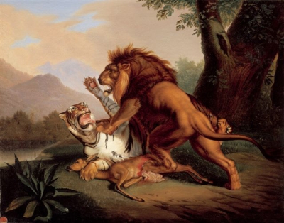 Wenzel, Johann Peter - Gevecht tussen leeuw en tijger